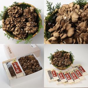 ふるさと納税 下呂市 飛騨舞茸と佃煮のセット マイタケ まいたけ 新鮮 こだわり【60-1】