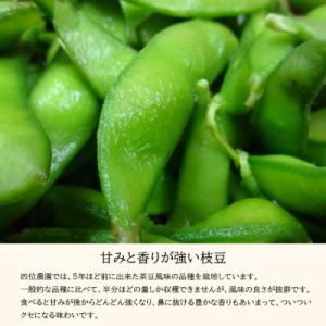 ふるさと納税 高原町 宮崎県産えだまめ3kg(...の詳細画像2