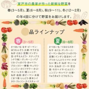 ふるさと納税 室戸市 【野菜定期便年4回お届け...の詳細画像1
