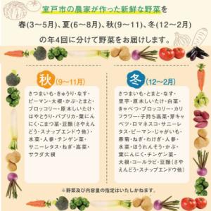 ふるさと納税 室戸市 【野菜定期便年4回お届け...の詳細画像2