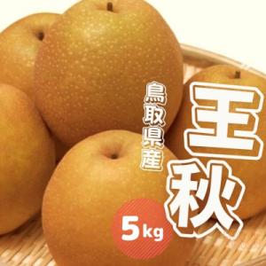ふるさと納税 江府町 王秋梨 5kg 先行受付 鳥取県産【10月中旬〜10月下旬頃発送】5キロ JA米子選果場 0612
