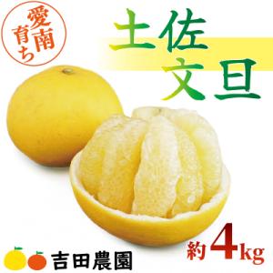 ふるさと納税 愛南町 【先行予約】【高評価★5】 数量限定  土佐文旦 4kg 吉田農園 愛南町 愛...