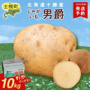 ふるさと納税 士幌町 じゃがいも(男爵)10kg 《2025年産》【V03】