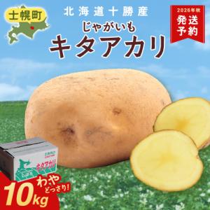 ふるさと納税 士幌町 【10月より順次発送予定】じゃがいも(キタアカリ)《2026年産》【V04】