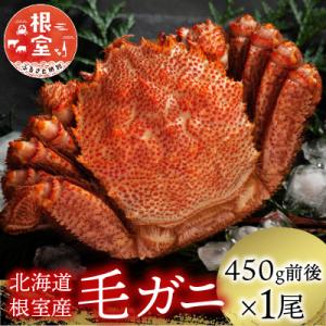 ふるさと納税 根室市 【北海道根室産】毛がに450g前後×1尾 A-21006