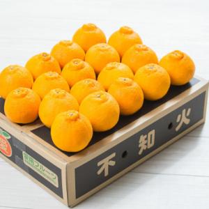 ふるさと納税 愛南町 【先行受付】 訳あり 不...の詳細画像1
