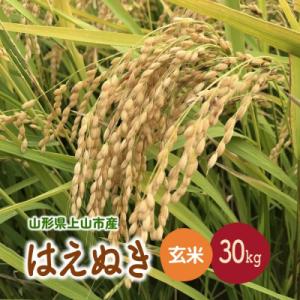 ふるさと納税 上山市 【2026年11月〜発送】令和8年産　はえぬき(玄米)30kg　0079-2640