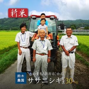 ふるさと納税 長井市 【令和8年産新米】【玄米】鈴木・ファーム「ササニシキ」30kg(30kg×1袋)_A104(R8)