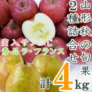 ふるさと納税 長井市 【R7年11〜12月発送】山形秋の旬果2種詰合せ(ラフランス・蜜入サンふじ計4...