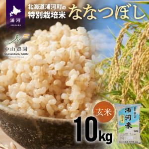 ふるさと納税 浦河町 浦河の特別栽培米「ななつぼし」玄米(10kg×1袋)[37-1027]