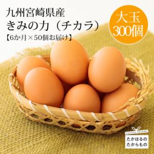ふるさと納税 高原町 『卵の定期便』年6回計300個《大玉の赤たまご》宮崎県産きみの力(チカラ)Lサ...