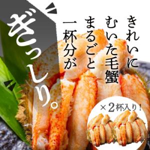 ふるさと納税 函館市 黄金毛蟹盛り 2杯 (蟹...の詳細画像1