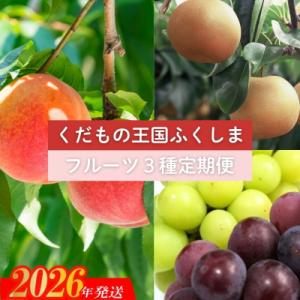 ふるさと納税 福島市 フルーツ3種 定期便 桃 梨 ぶどう【2026年発送 先行受付】No.2032