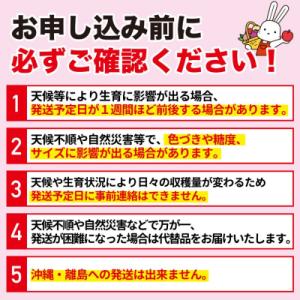 ふるさと納税 福島市 フルーツ3種 定期便 桃...の詳細画像2