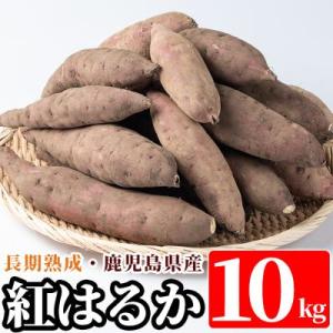 ふるさと納税 霧島市 鹿児島県産＜紅はるか＞土付き(10kg)【フレッシュジャパン鹿児島】　A2-012