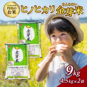 ふるさと納税 大分市 大分丹生米の里ヒノヒカリ金芽米　4.5kg×2袋_B01020