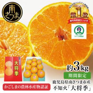 ふるさと納税 南さつま市 【11月末〜12月発送】ブランド不知火「大将季」 約3kg入り化粧箱 (8...