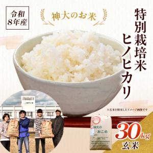ふるさと納税 加西市 米 令和8年産 神大のおこめ(特別栽培米ヒノヒカリ)玄米30kg お米[No5698-0847]