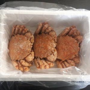 ふるさと納税 根室市 毛蟹600g×3尾 D-...の詳細画像3