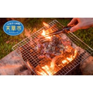 ふるさと納税 天草市 「天草大王」味付け肉 約5〜6人前_S081-010A