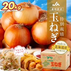 ふるさと納税 津別町 【先行受付】R8年産 特別栽培玉ねぎ 20kg