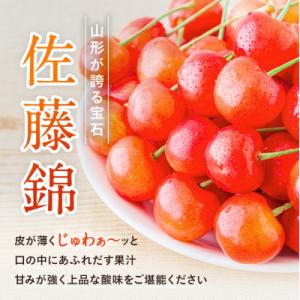 ふるさと納税 長井市 【2027年発送】「秀品...の詳細画像2