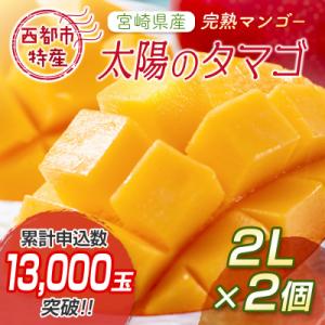 ふるさと納税 西都市 西都市特産品 太陽のタマゴ2L×2個  宮崎県産完熟マンゴー【先行受付】[1905]