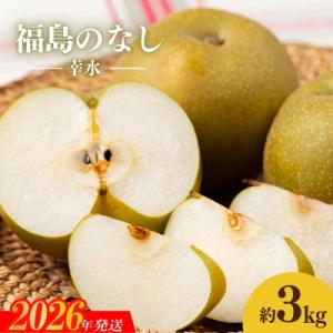 ふるさと納税 福島市 梨　なし　幸水　約3kg　【2026年発送　先行受付】No.1713