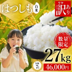 ふるさと納税 関市  【訳あり】期間限定で寄附額改定!令和7年産 ハツシモ【白米】27kg 数量限定 L7