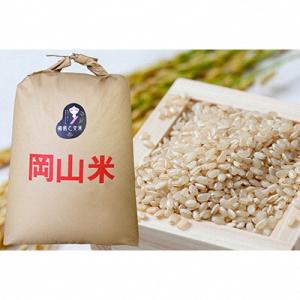 ふるさと納税 瀬戸内市 令和7年産 石原果樹園の備前乙女米 玄米 30kg×1袋 岡山県 [No.5735-1124]