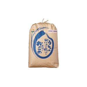 ふるさと納税 湯沢市 【令和8年産米】特別栽培米 あきたこまち 精米 20kg[D2105]