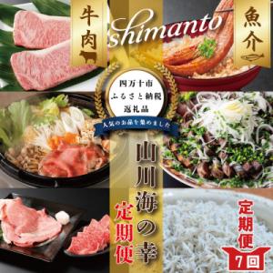 ふるさと納税 四万十市 【7ヵ月連続】四万十市人気魚介&amp;お肉返礼品【定期便】26