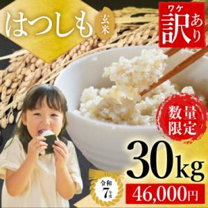 ふるさと納税 関市 【訳あり】期間限定で寄附額改定!令和7年産 ハツシモ【玄米】30kg 数量限定 L6