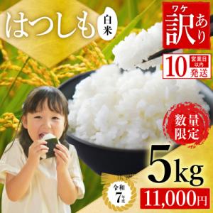 ふるさと納税 関市 【訳あり】期間限定で寄附額改定!令和7年産 ハツシモ【白米】5kg 数量限定 M8