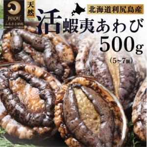 ふるさと納税 利尻町 【10月〜12月発送】天然蝦夷『活』アワビ500g 利尻島産 昆布育ちの美味し...