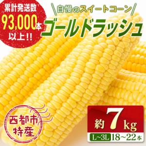 ふるさと納税 西都市 【約7kg】スイートコーン『ゴールドラッシュ』先行受付[1428]