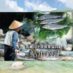 ふるさと納税 下呂市 【令和8年】馬瀬川上流鮎年釣証 1枚 まぜ 馬瀬 下呂市 下呂温泉 火ぶり漁【36-1】