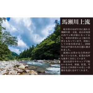 ふるさと納税 下呂市 【令和8年】馬瀬川上流鮎...の詳細画像2