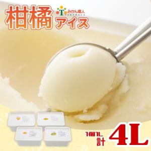 ふるさと納税 愛南町 みかん職人が作った柑橘アイス1000ml×4種(夢オレンジ・愛媛みかん・河内晩...