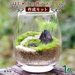 ふるさと納税 西予市 &lt;はじめての苔テラリウムにピッタリの作成キット★作り方動画付&gt;　手作り　インテ...