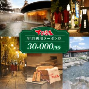 ふるさと納税 下呂市 下呂温泉宿泊利用クーポン券(30,000円分)旅館 ホテル 宿泊券 旅行 3万...