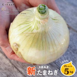 ふるさと納税 淡路市 【新たまねぎ】淡路島たまねぎ 大きな2Lサイズ5kg【発送時期3月下旬〜5月頃】　ak04027