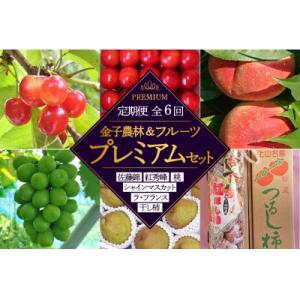 ふるさと納税 上山市 【定期便:全6回】金子農林&フルーツプレミアムセット　0015-2601