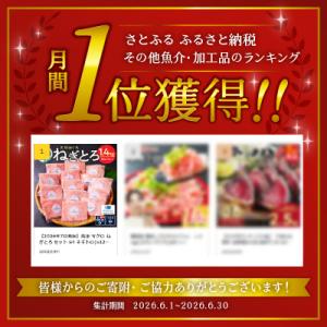 ふるさと納税 焼津市 【2026年8月発送】焼...の詳細画像1