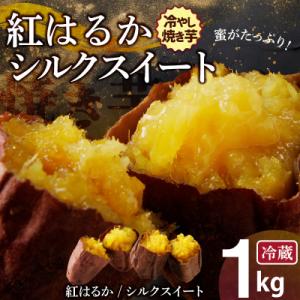 ふるさと納税 碧南市 焼き芋 蜜たっぷり!冷やし焼き芋　ひえひえ君 1kg(500g×2) 　H04...