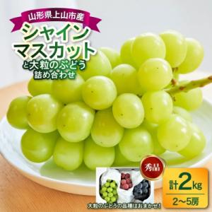 ふるさと納税 上山市 シャインマスカットと大粒ぶ...の商品画像