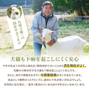 ふるさと納税 大分市 【定期便】ワンちゃん・ネ...の詳細画像1