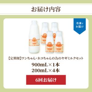 ふるさと納税 大分市 【定期便】ワンちゃん・ネ...の詳細画像3