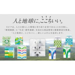 ふるさと納税 春日井市 ネピアティシュ5箱×1...の詳細画像3