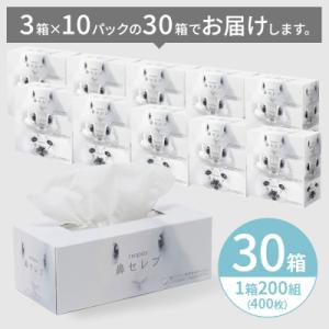 ふるさと納税 春日井市 ネピア鼻セレブティシュ...の詳細画像2